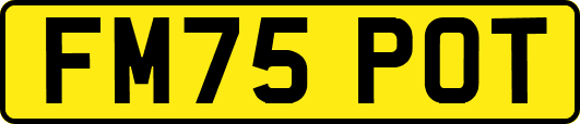 FM75POT