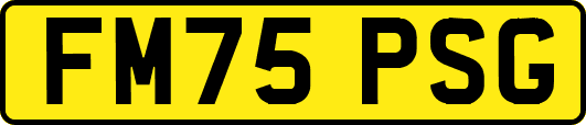 FM75PSG