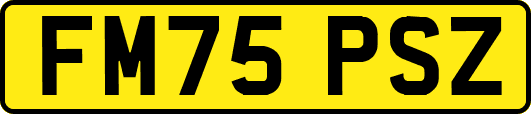 FM75PSZ