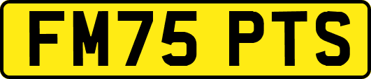 FM75PTS