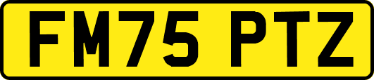 FM75PTZ