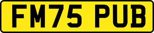 FM75PUB