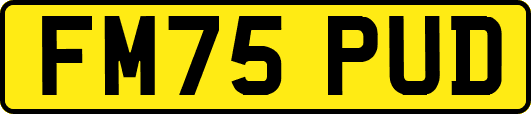 FM75PUD