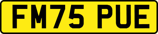 FM75PUE