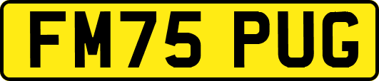FM75PUG