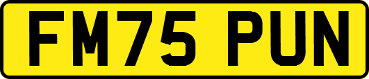 FM75PUN