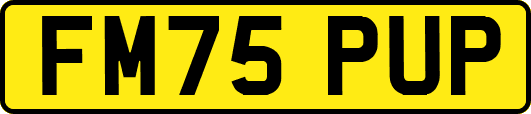 FM75PUP