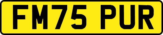FM75PUR