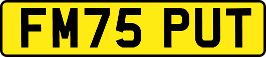 FM75PUT