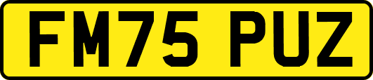 FM75PUZ