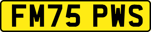 FM75PWS