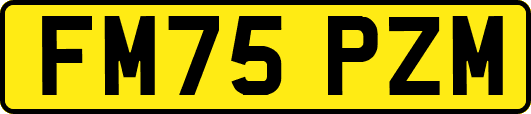 FM75PZM
