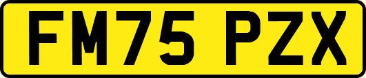 FM75PZX
