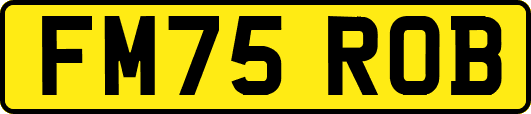 FM75ROB