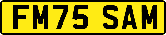 FM75SAM