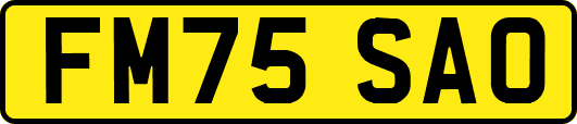 FM75SAO