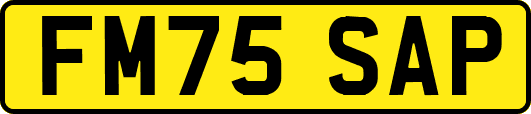 FM75SAP