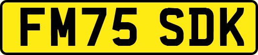 FM75SDK