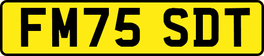 FM75SDT