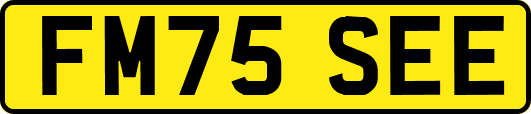 FM75SEE