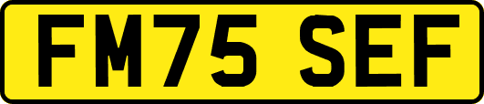 FM75SEF
