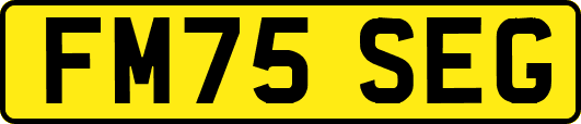 FM75SEG