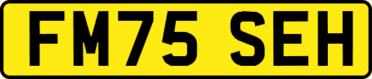 FM75SEH