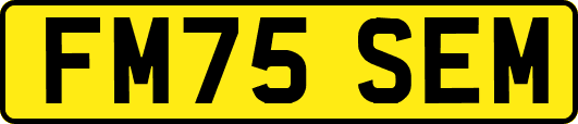 FM75SEM