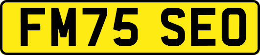 FM75SEO