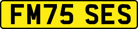 FM75SES