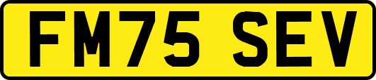 FM75SEV