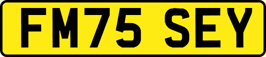 FM75SEY