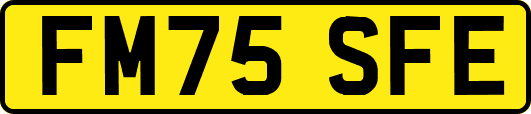 FM75SFE