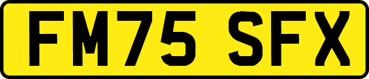 FM75SFX