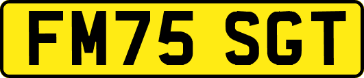 FM75SGT
