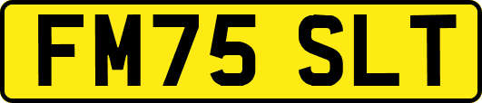 FM75SLT