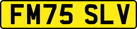 FM75SLV