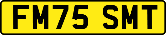 FM75SMT
