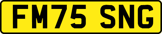 FM75SNG