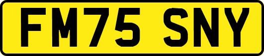 FM75SNY