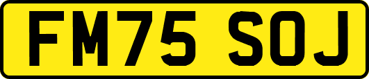 FM75SOJ