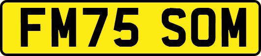 FM75SOM