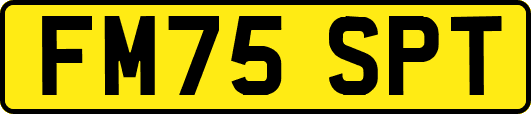 FM75SPT