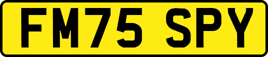FM75SPY