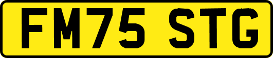FM75STG