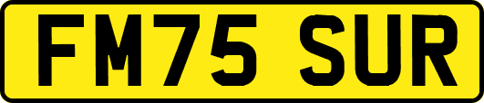 FM75SUR