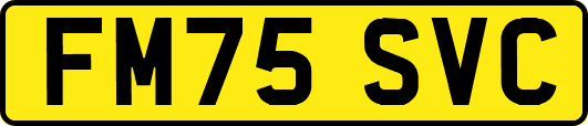 FM75SVC