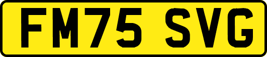 FM75SVG
