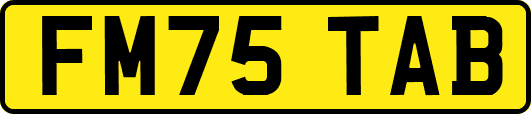 FM75TAB