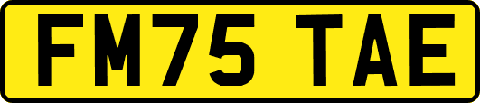 FM75TAE